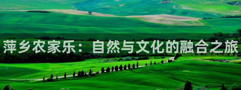 fh至尊品牌介绍