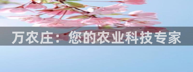 fh至尊游戏模式