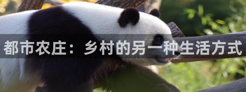 FH至尊apk