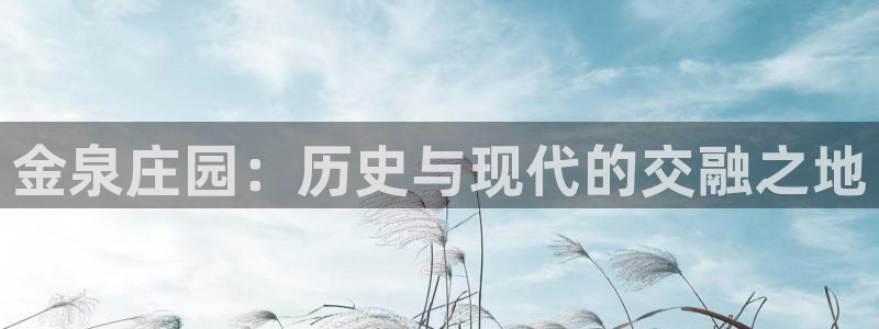 FH至尊公安