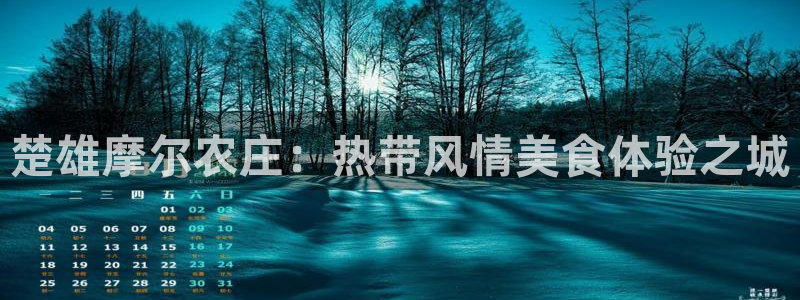 fh至尊正常登录下载