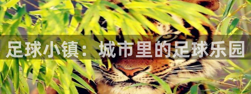 fh至尊app下载安装