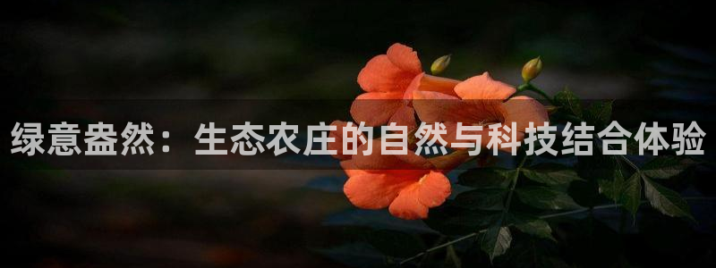 fh凤凰至尊