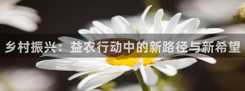 FH至尊隶属哪家公司