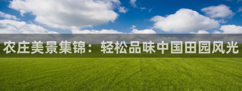 fh 至尊