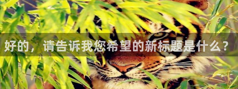 FH至尊公安