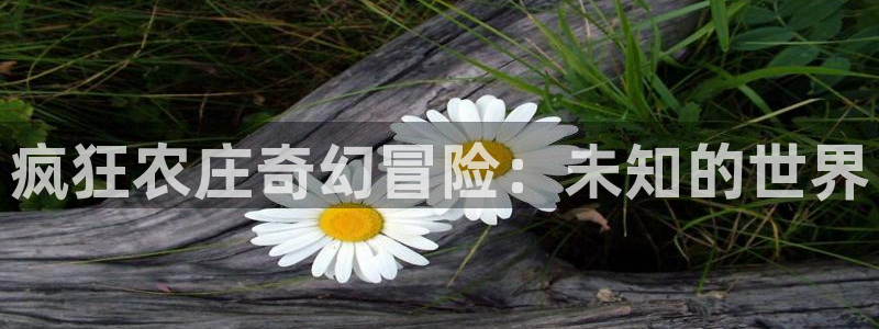 fh至尊安全吗