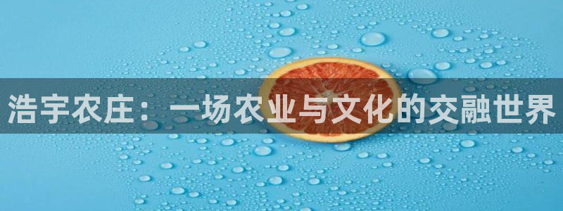 FH至尊平台注册地址