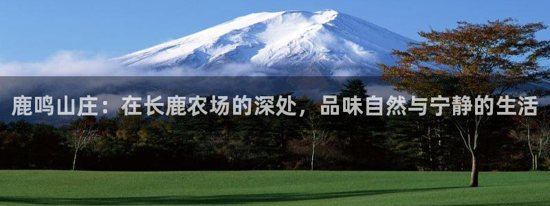 FH至尊凤凰平台登录