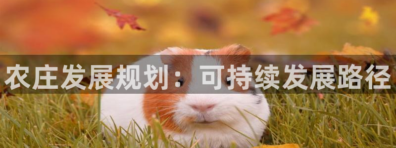 FH至尊app