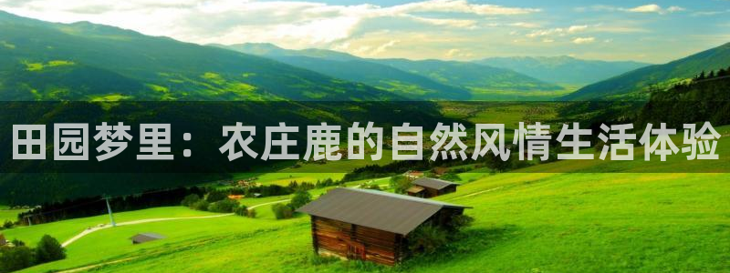 fh至尊最新版本