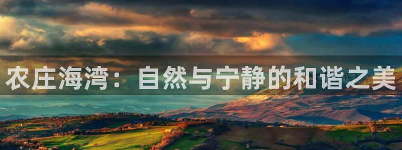 FH至尊登录不了