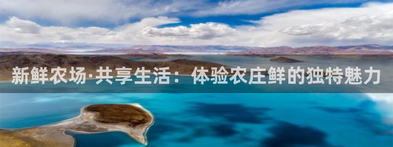 FH至尊下载