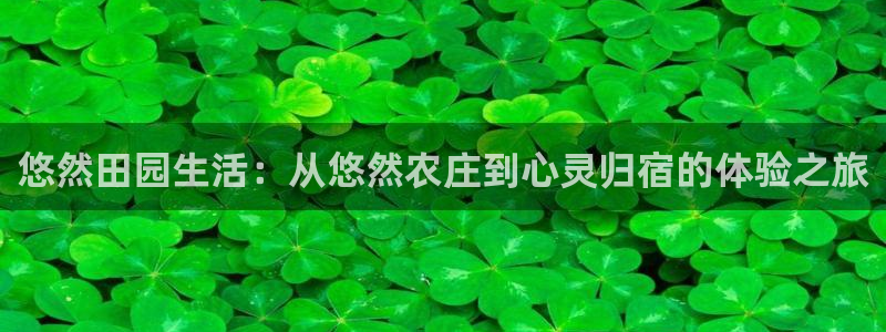 fh至尊注册登陆