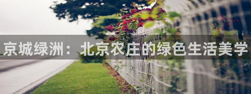 FH至尊平台是什么平台