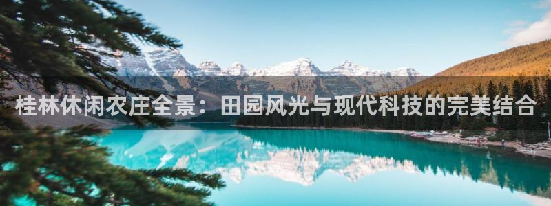 FH-FH至尊版的功能
