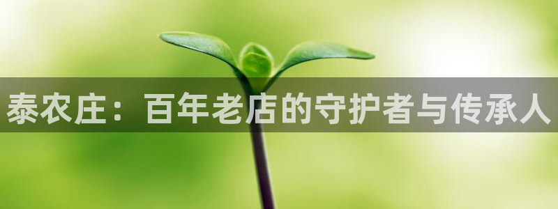 fh至尊