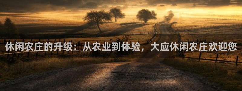 fh至尊凤凰