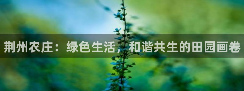 FH至尊app