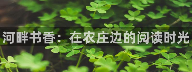 fh凤凰至尊版