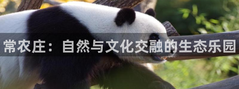 fh至尊双色球开奖结果