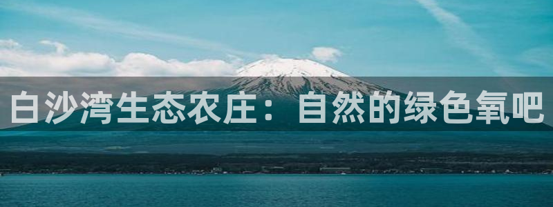 至尊FH平台