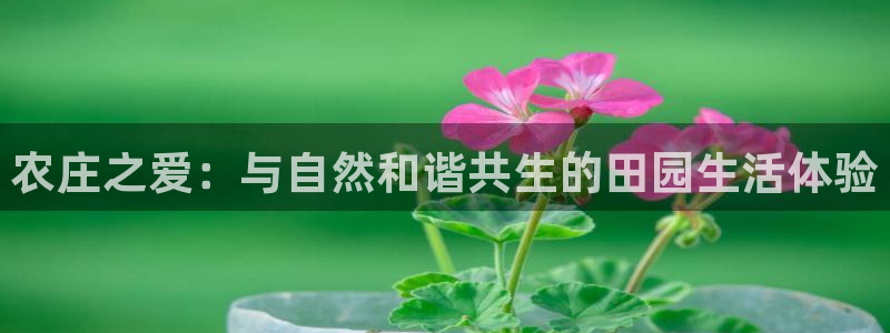 fh至尊吧百度贴吧