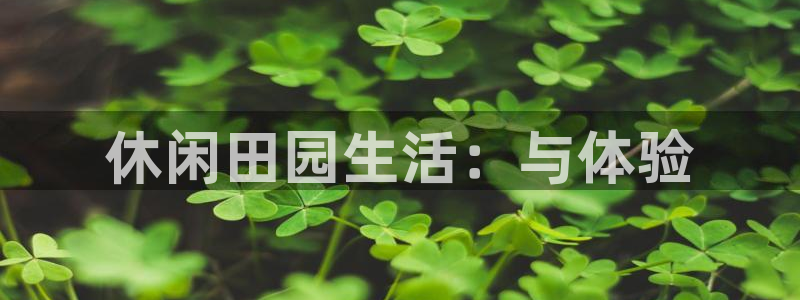 FH至尊版