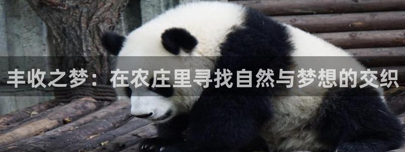 fh至尊官方旗舰店