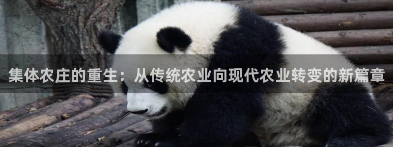 fh至尊app靠谱吗