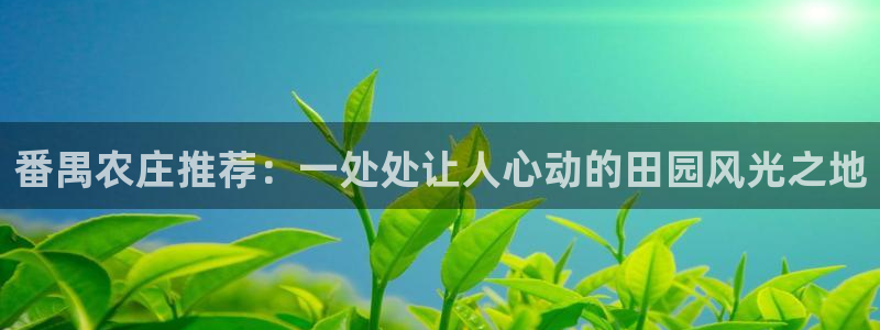 fh至尊平台APP