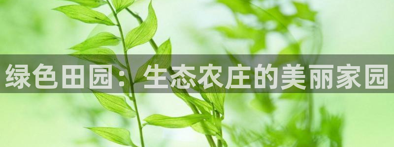 fh凤凰至尊