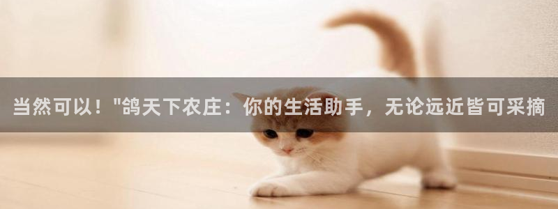 FH-FH至尊版的功能