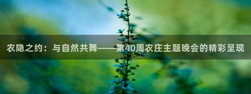 FH至尊是什么