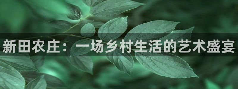 fh至尊游戏模式