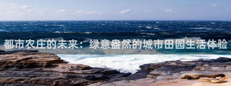 FH至尊出问题了
