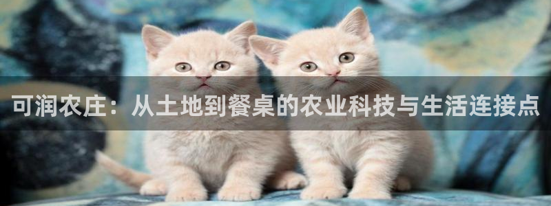 fh凤凰至尊