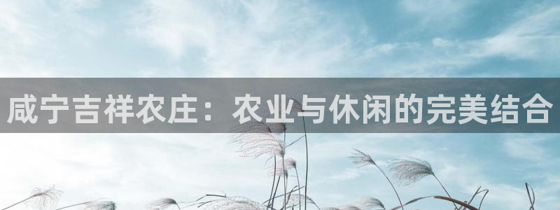 fh至尊在哪可以下载