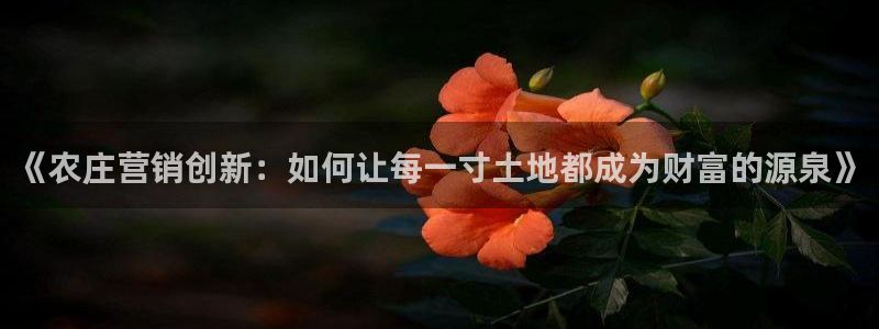 fh至尊多少年了