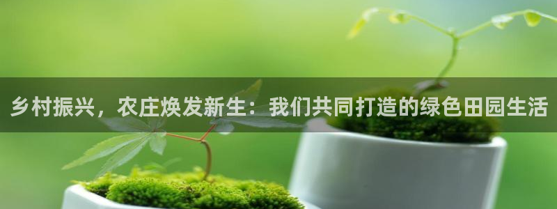 fh至尊平台多少年了