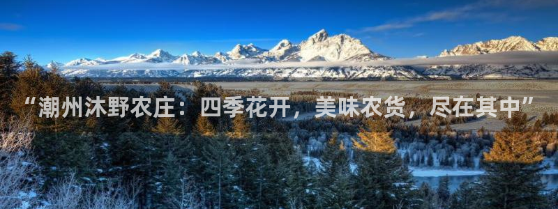 fh至尊平台怎么提现