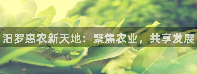 fh至尊提现不了