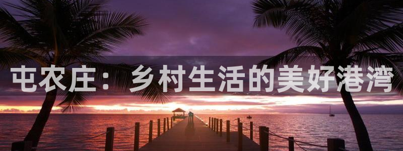 凤凰至尊fh凤凰版0a
