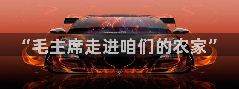 fh至尊官方旗舰店