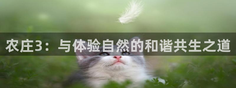 FH至尊平台注册