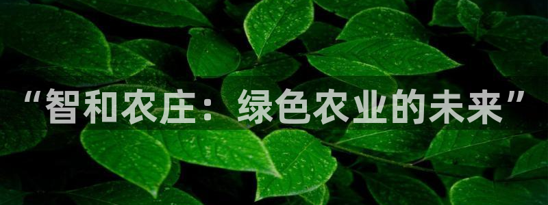fh至尊是什么牌子