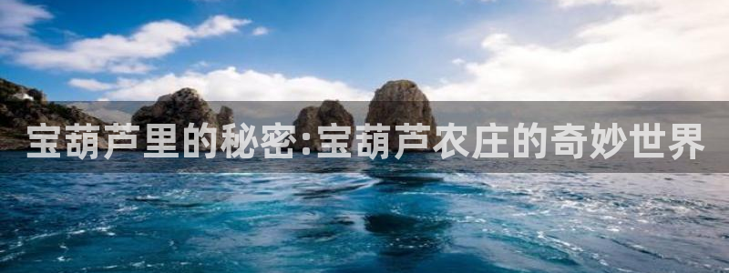 fh至尊凤凰官方旗舰店