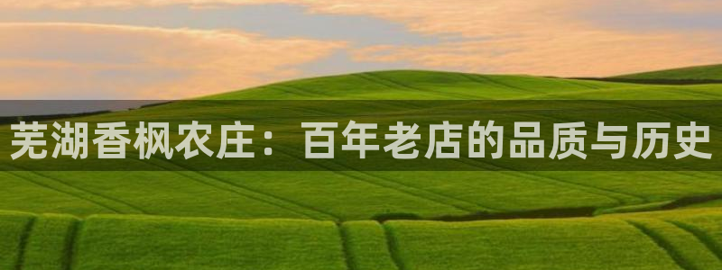 fh至尊品牌介绍