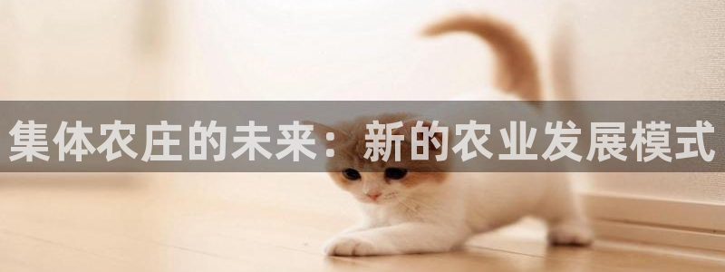 FH至尊出问题了
