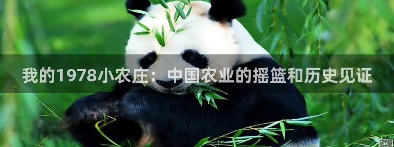 FH至尊登录不了